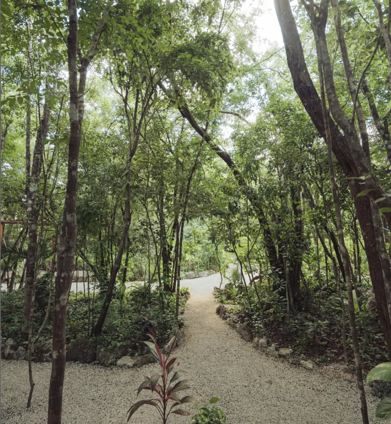 Living Path
